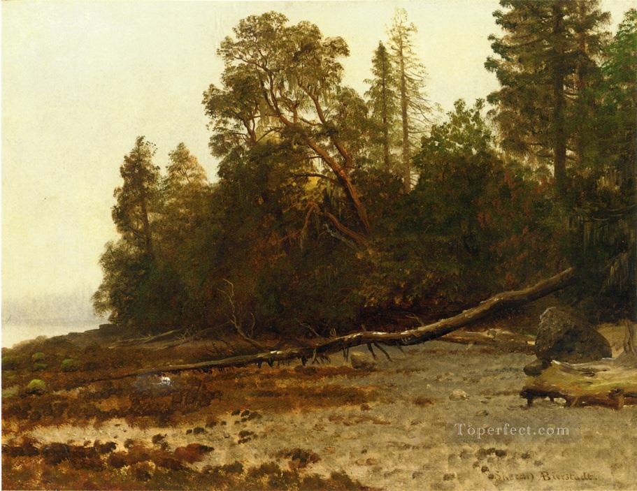 The Fallen Tree Albert Bierstadt woods forest Oil Paintings
